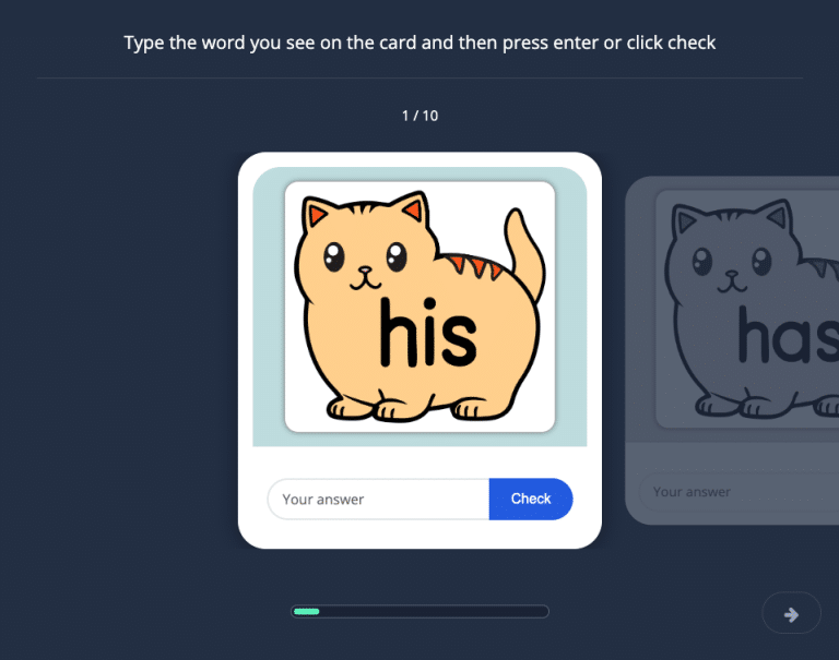 Cat Typing 11