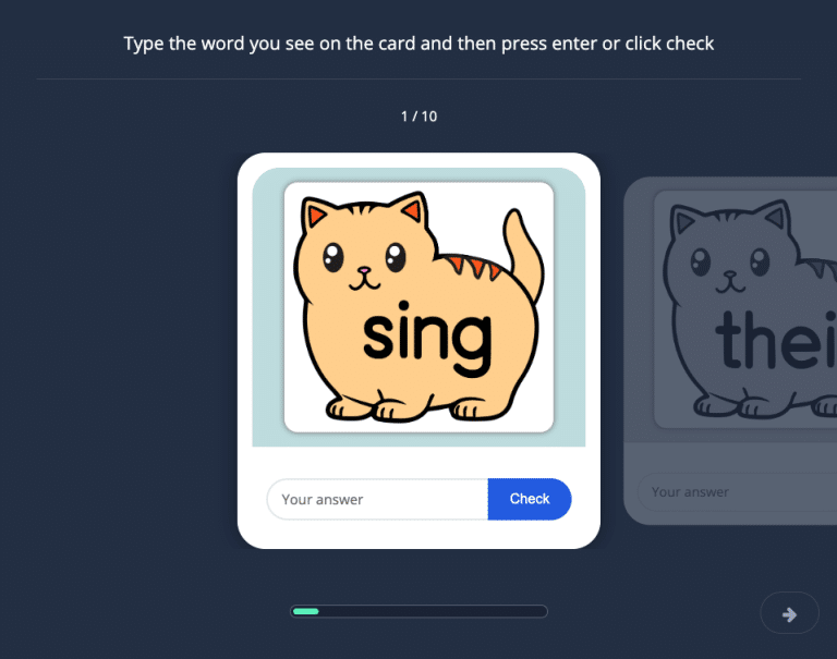 Cat Typing 17